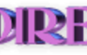 En direct de la Corrida de Noël de Montluçon