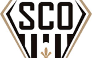 Ligue 1 J31 à Angers