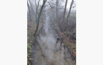 Mon édito du dimanche : La Meuzelle, un site à découvrir