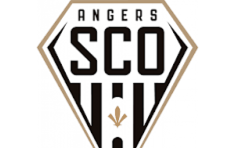 Ligue 1 J31 à Angers
